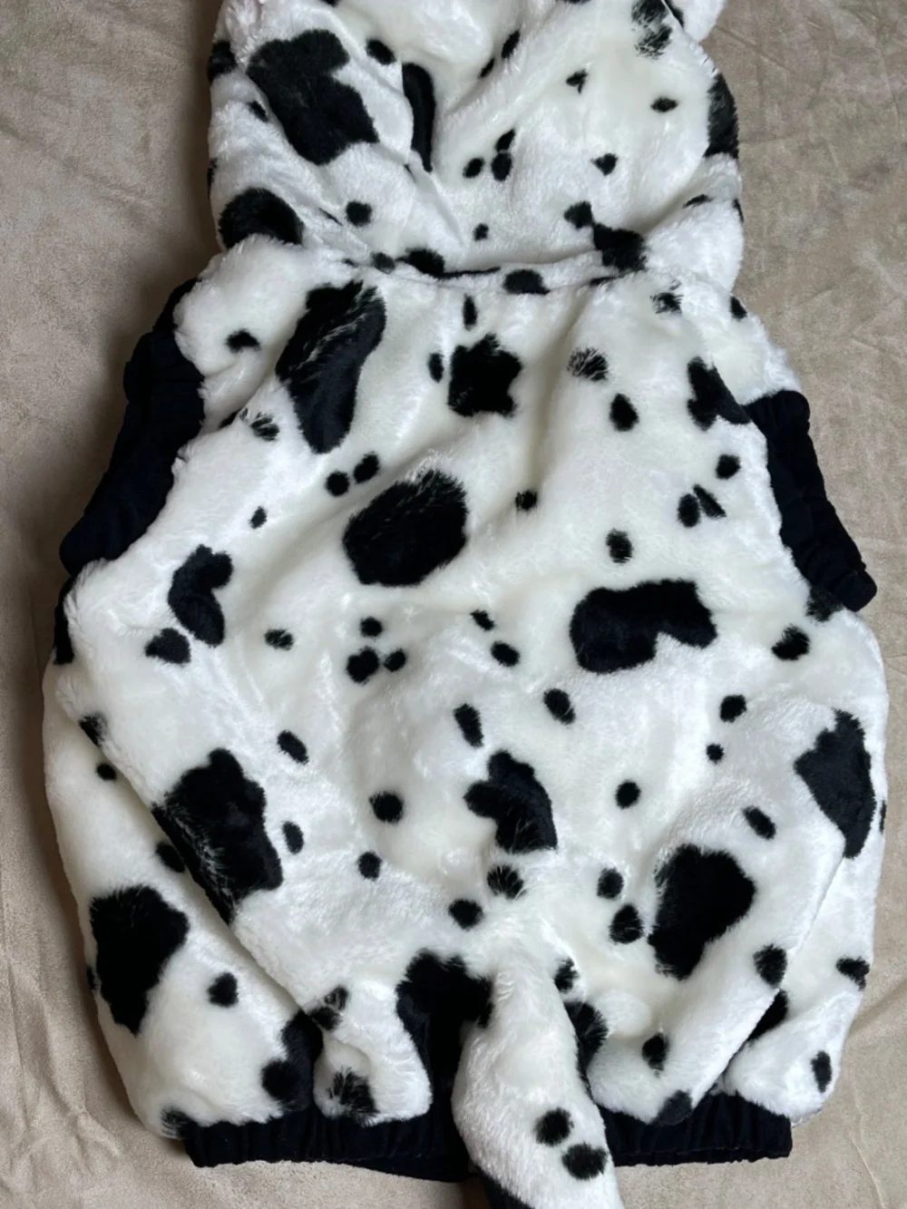 Celebration unisex cow this
